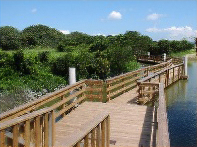 Hong Kong Wetland Park